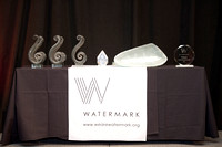 Watermark Awards Recap | 2015